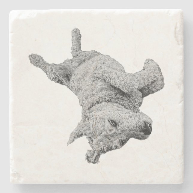 Posavasos De Piedra Humor al menos (Anverso)