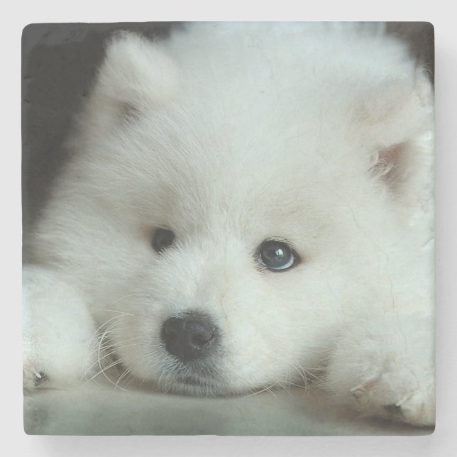Posavasos De Piedra Husky (Anverso)