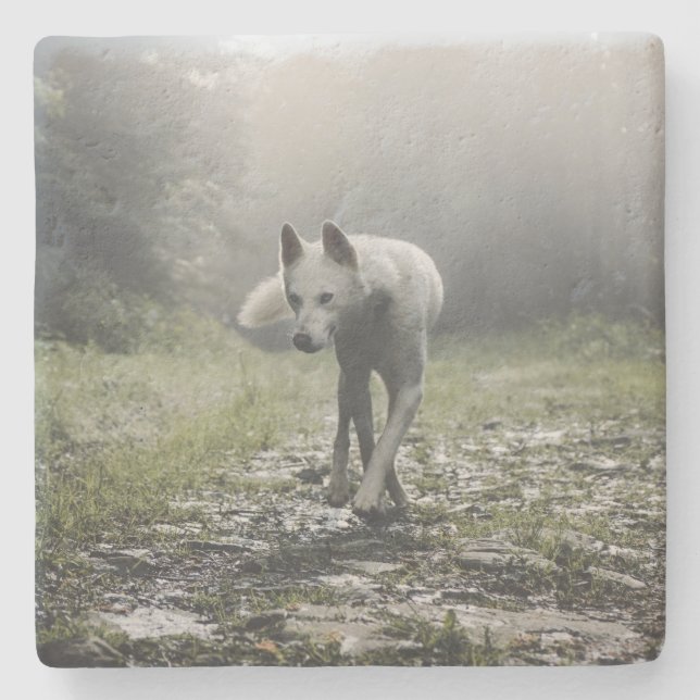 Posavasos De Piedra Husky Siberiano Blanco (Anverso)