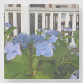 Posavasos De Piedra Hydrangea y Porch victorianos - Viñetería de Marth