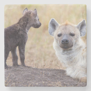 Posavasos De Piedra Hyena con una joven