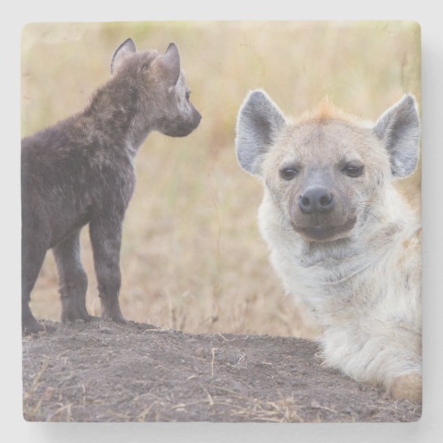 Posavasos De Piedra Hyena con una joven (Anverso)