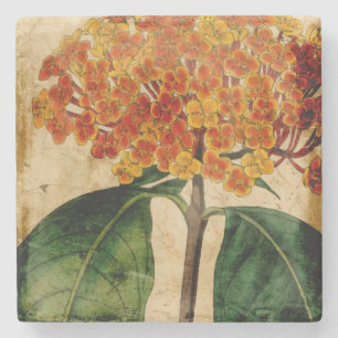 Posavasos De Piedra I floral vibrante