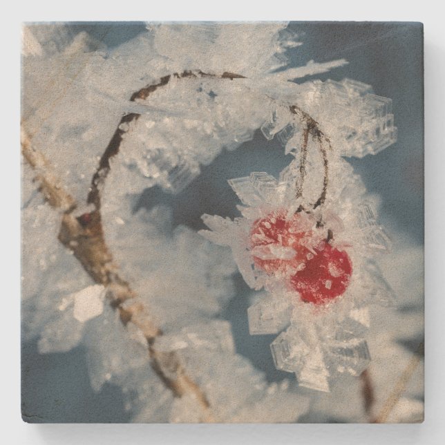 Posavasos De Piedra Ice Berries (Anverso)