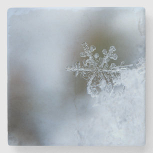 Posavasos De Piedra Icy Snowflake