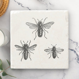 Posavasos De Piedra Ilustración de abeja reina vintage y abejas trabaj