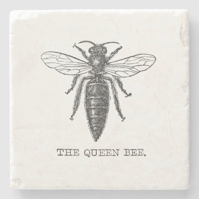 Posavasos De Piedra Ilustracion de antigüedades de insectos de Queen B (Anverso)
