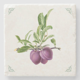 Posavasos De Piedra Ilustración de Fruta de Ciruela Vintage