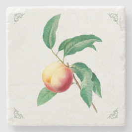 Posavasos De Piedra Ilustración de fruta de melocotón vintage