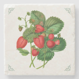 Posavasos De Piedra Ilustración de Frutas de Fresas Vintage