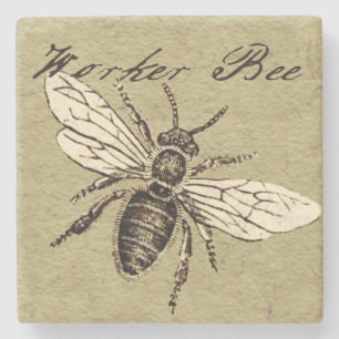 Posavasos De Piedra Ilustracion de Insectos de Abeja para trabajadores