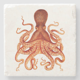Posavasos De Piedra Ilustracion de pulpo naranja
