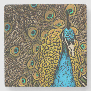 Posavasos De Piedra Ilustracion del esplendor del pavo real