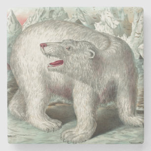 Posavasos De Piedra Ilustración vintage de oso polar iceberg invierno