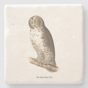 Posavasos De Piedra Imagen de pájaro de la Gran Lechuza Gris (Strix ne