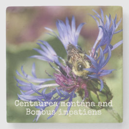Posavasos De Piedra Impatiens del Centaurea Montana y del Bombus