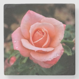 Posavasos De Piedra Impresión de arte botánico Rosa romántico