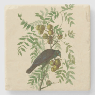 Posavasos De Piedra Impresión de pájaro Grackle púrpura de Audubon Vin