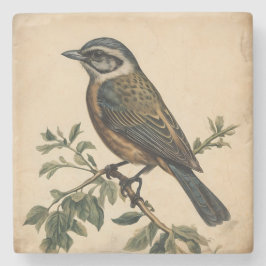 Posavasos De Piedra Impresión de pájaro vintage