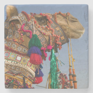 Posavasos De Piedra INDIA, Rajasthan, Pushkar: FERIA DE CAMELLOS DE PU
