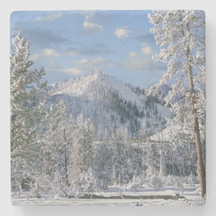 Posavasos De Piedra Invierno en el Parque Nacional Yellowstone, Wyomin