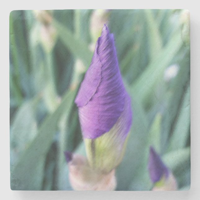 Posavasos De Piedra iris bud púrpura (Anverso)
