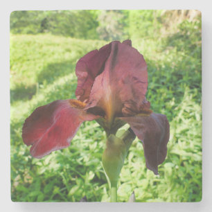 Posavasos De Piedra Iris con barba