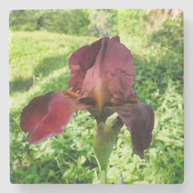 Posavasos De Piedra Iris con barba (Anverso)