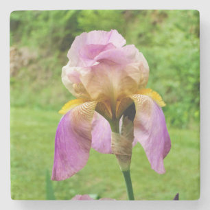 Posavasos De Piedra Iris con barba