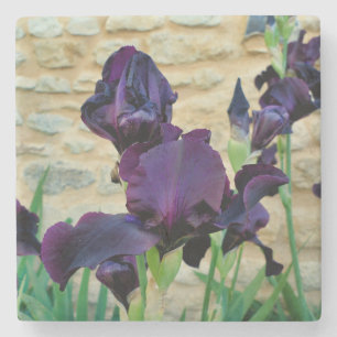 Posavasos De Piedra Iris con barba