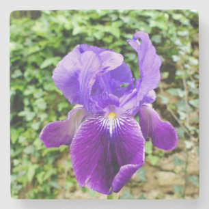 Posavasos De Piedra Iris con barba