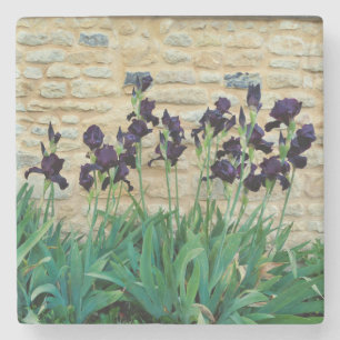 Posavasos De Piedra Iris con barba