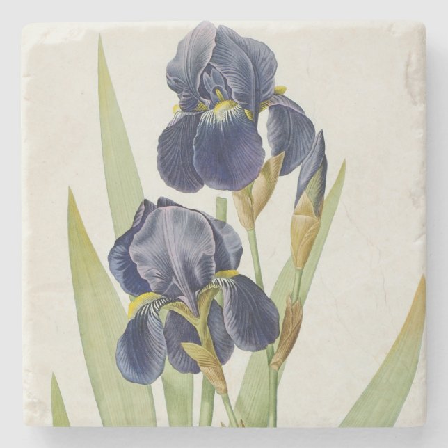 Posavasos De Piedra Iris Germanica, de "Les Liliacees", 1805 (Anverso)