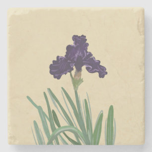 Posavasos De Piedra Iris morado