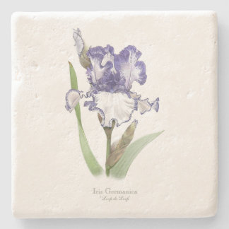 Posavasos De Piedra Iris rufado morado