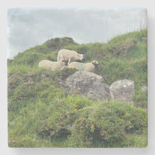 Posavasos De Piedra Irlanda Rusa Tres Ovejas Irlandesas