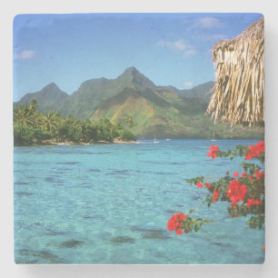 Posavasos De Piedra Isla Bora Bora, Polinesia Francesa