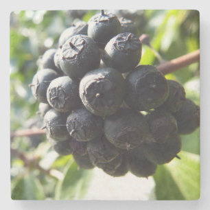 Posavasos De Piedra Ivy Berries Stone Coaster