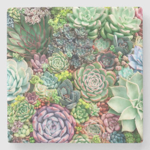 Posavasos De Piedra Jardín colorido y exitoso