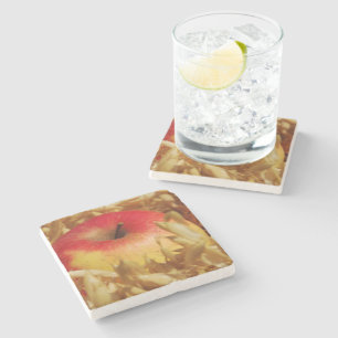 Posavasos De Piedra Jardín de cabañas, Rosalinde