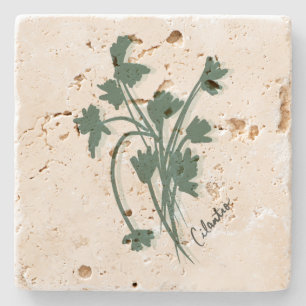 Posavasos De Piedra Jardín de hierbas de cilantro Coriandro Dibujado a