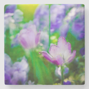 Posavasos De Piedra Jardín de tulipanes, Giverny, Francia