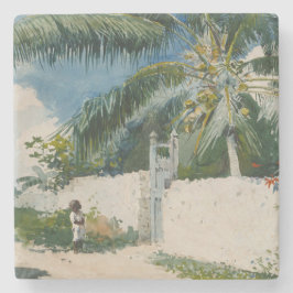 Posavasos De Piedra Jardín en Nassau, Bahamas (arte caribeño)