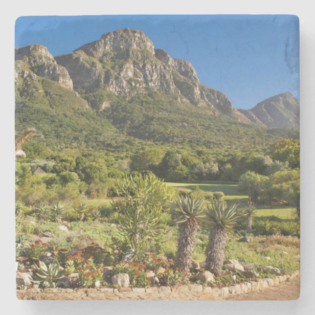 Posavasos De Piedra Jardines botánicos de Kirstenbosch, Ciudad del Cab (Anverso)