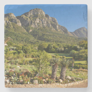 Posavasos De Piedra Jardines Botánicos Kirstenbosch, Ciudad del Cabo