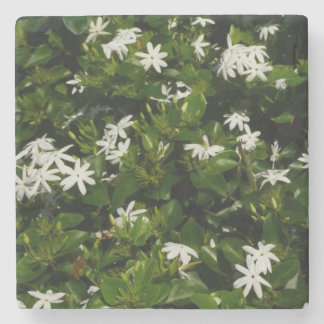 Posavasos De Piedra Jazmín Flores Tropicales Florales Botánicas