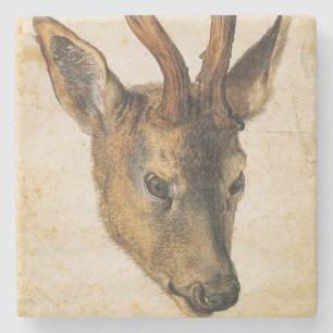 Posavasos De Piedra Jefe de un Stag (Vida silvestre) (por Albrecht Dur