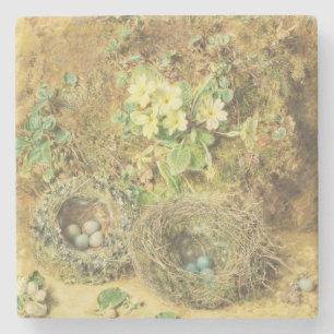 Posavasos De Piedra Jerarquías de las primaveras y de los pájaros