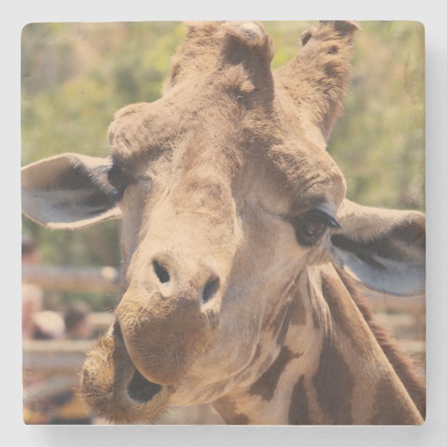 Posavasos De Piedra Jirafa divertida (Anverso)