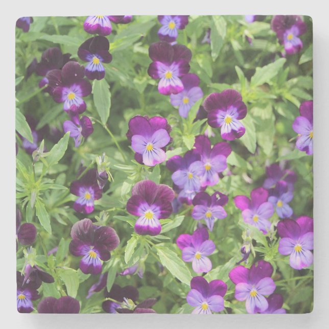 Posavasos De Piedra Johnny Pop Ups (Anverso)